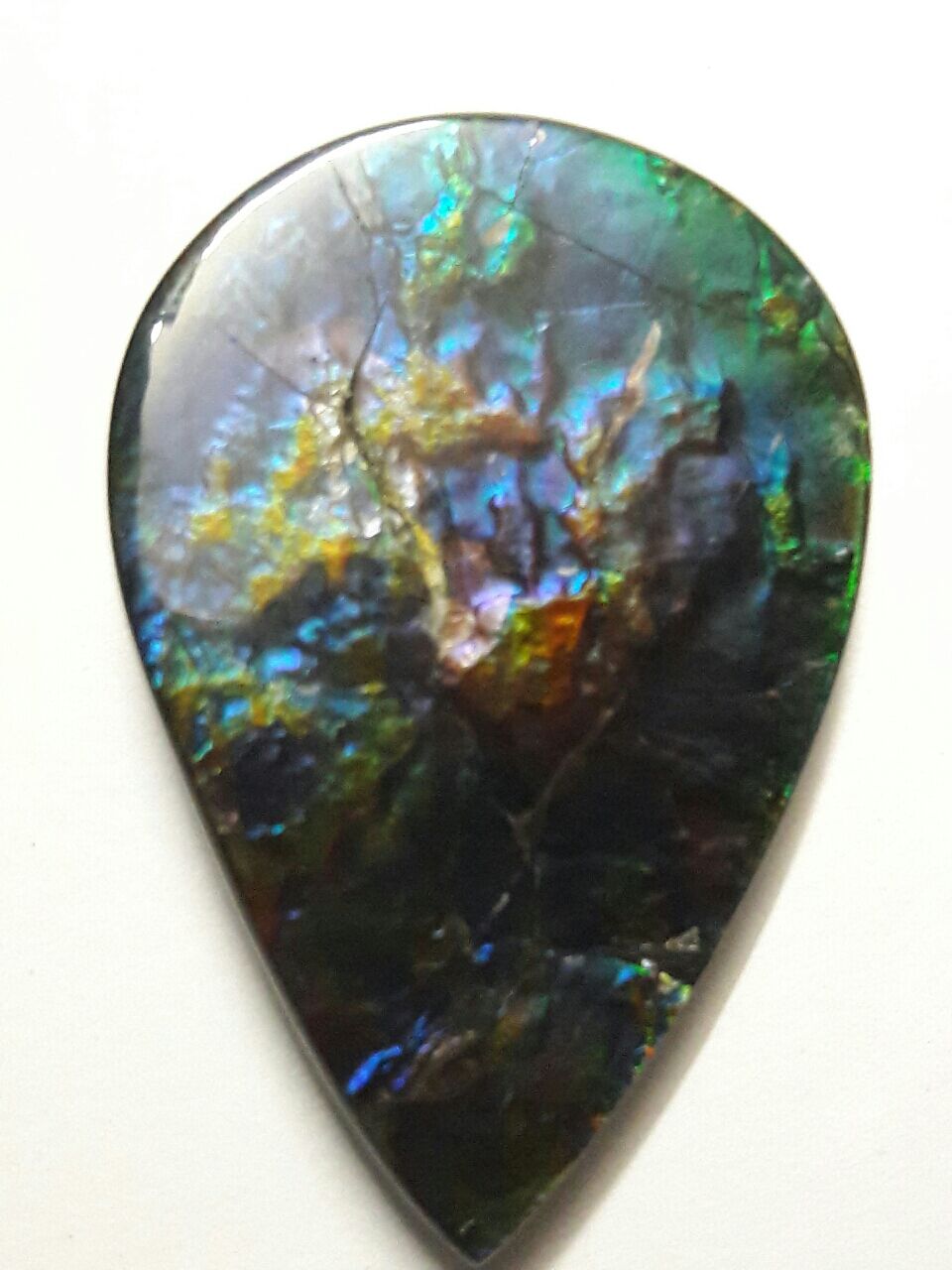 ammolite